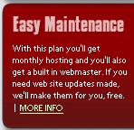Easy web site maintenance monthly